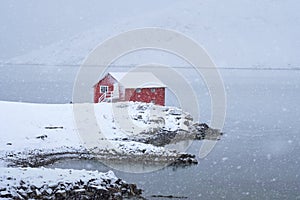 Red rorbu house in winter, Lofoten islands, Norway