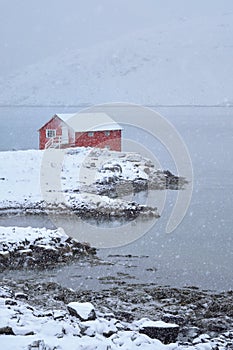 Red rorbu house in winter, Lofoten islands, Norway