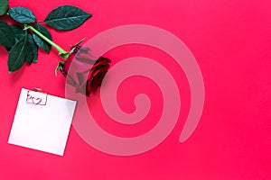 Red rose on red background with copyspace and sticker with a paper clip and heart, a reminder on a note sheet. A gift for a woman