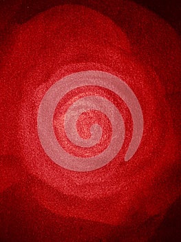 red rose background
