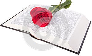 Red rose on a bible