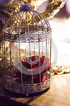 Red rose in a bird cage near a golden tree