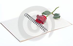 Red rose on a blank notebook isolated on white background