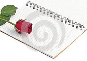 Red rose on a blank notebook isolated on white background