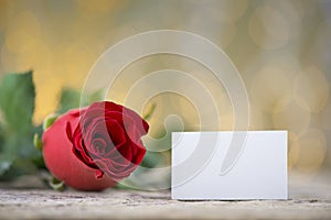 Red rose with blank space for lovely message fopr Valentine