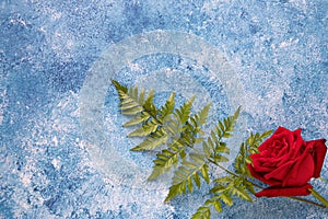 a red rose on blue acrylic paint background