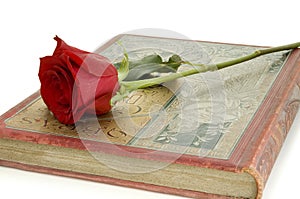 Red rose on book
