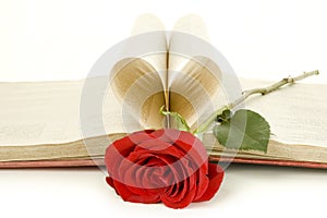 Red rose on a book