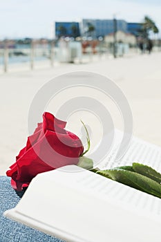 Red rose and book for Saint George Day