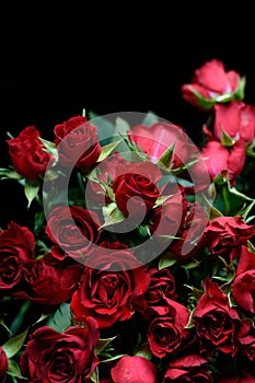 Red Rose Boquet