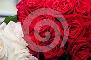 Red Rose Bouquet