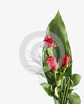 Red rose bouquet photo