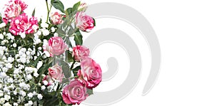 Red rose bouquet card isolated on bright white background with copyspace, border of fresh pink rose bush