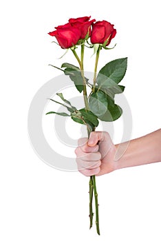 Red rose bouquet flower in hand men isolated with clipping path