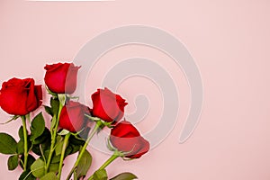 Red rose bouquet of flowers on a pink background