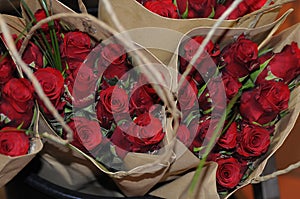 RED ROSE BOUTIUES FOR SALE IN COPENAHGEN