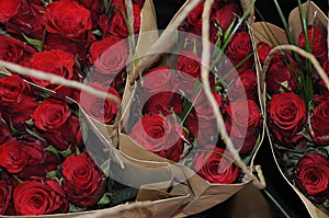 RED ROSE BOUTIUES FOR SALE IN COPENAHGEN