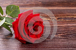 Red rose on brown wooden background.