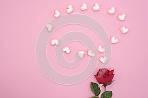 Red rose with bubble speech hearts on pink paper background