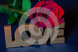 Red rose with candle and love written