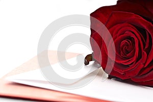 Red Rose and Card