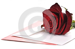 Red Rose and Card