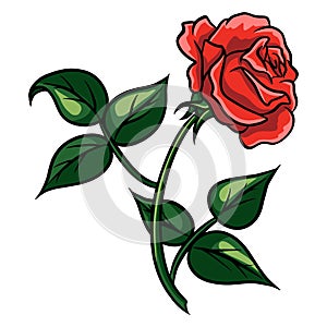 Red rose cartoon style on a white background.