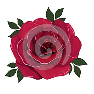 Red rose cartoon