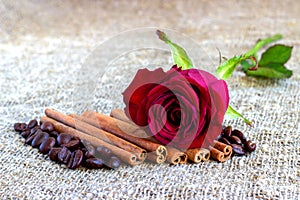 Red rose, cinnamon, coffee beans on a brown background