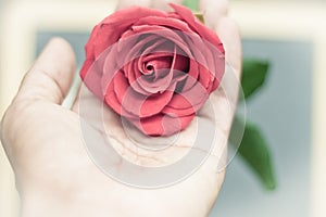Red rose close up on human hand vintage