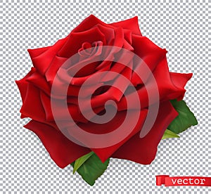 Red Rose. 3d realistic vector object