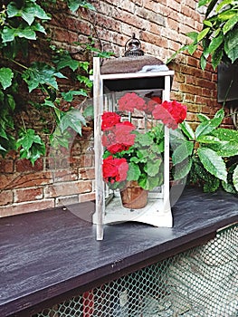 Red rose decorazione art dÃÂ©co