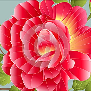 Red rose detail with orange center watercolor vector illustration editable hand draw