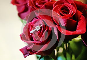 Red Rose with Diamond Engagement Ring.