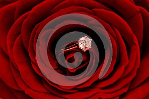 Red Rose with diamond ring