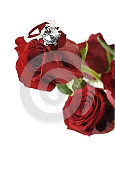 Red Rose with Engagement Ring