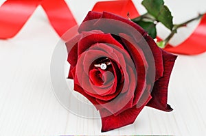 Red rose with engagement ring inside the bud