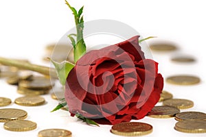 Red rose on euro coins