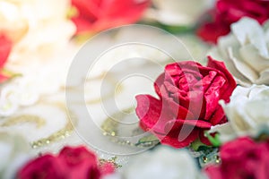 Red rose on the floor, white carpet, gold edge blur
