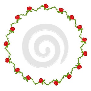 red rose flower art drawn round frame