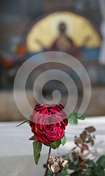 Red rose flower on the background of the icon of the virgin in Cyprus