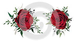 Red rose flower with greenery leaves bouquet. Vector watercolor illustration. Floral decoration