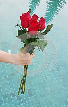 Red rose flower in hand for valentines day, wedding card on black backgroundRed rose flower in hand for valentines day, wedding ca