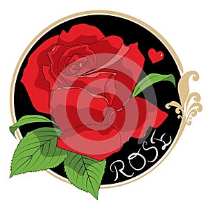 Red rose flower for happy Valentines day postcards. Vector colored elements illustration for tattoo or greeting card and wedding