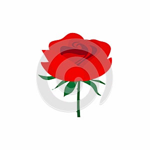 Red rose flower isolated on white background. Beautiful rose with green leaves on a long green stem. Flat vector decorative design