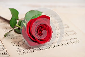 Red rose flower music notes sheet