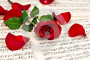 Red rose flower music notes sheet