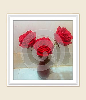 Red Rose Flower In Photo Frame Background