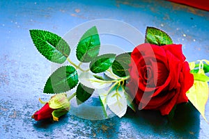 Red rose flower on rustic floor. Nature still life love romantic background theme. Wallpaper web banner design decoration for