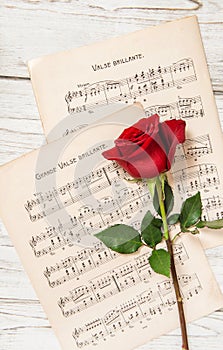 Red rose flower vintage music notes sheet